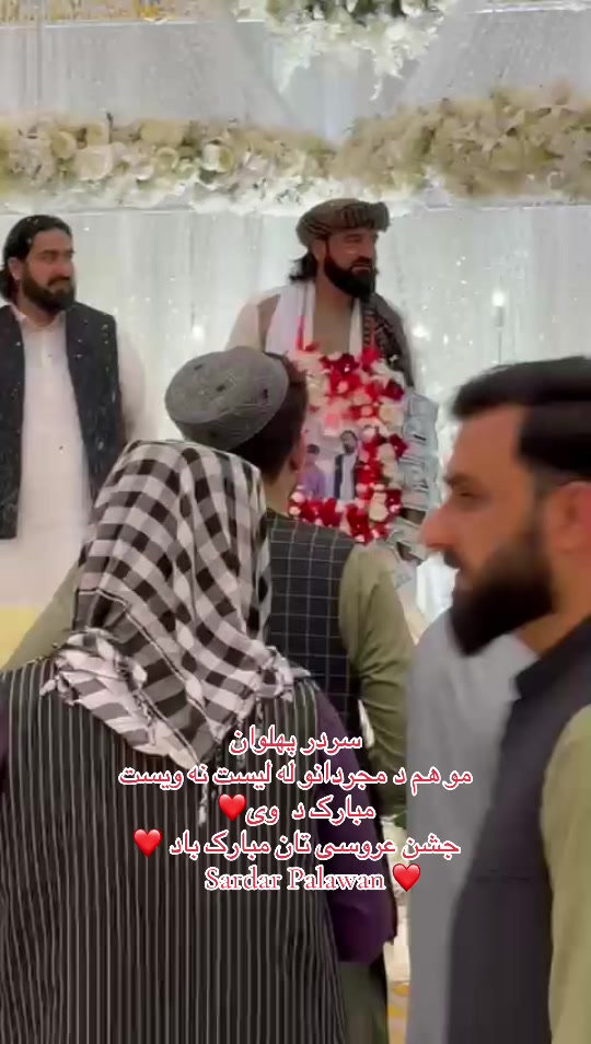 @saedkzadran
