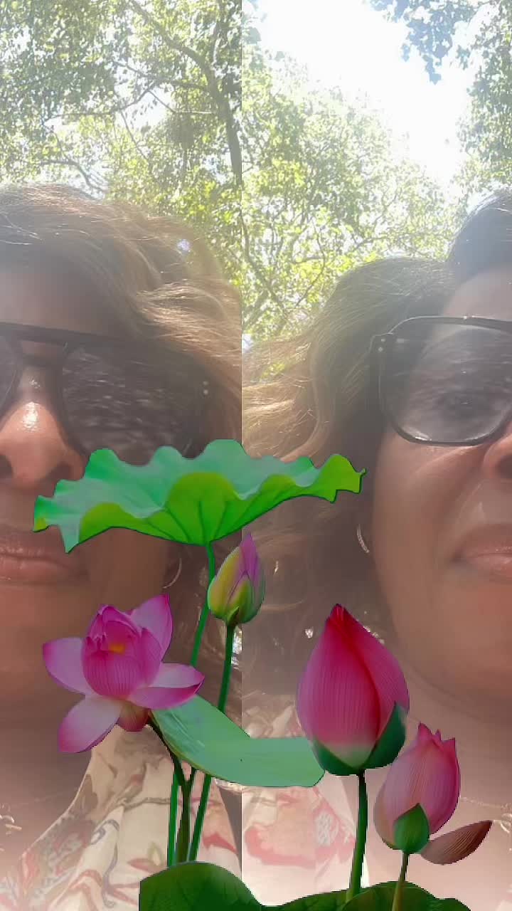 @Rose
