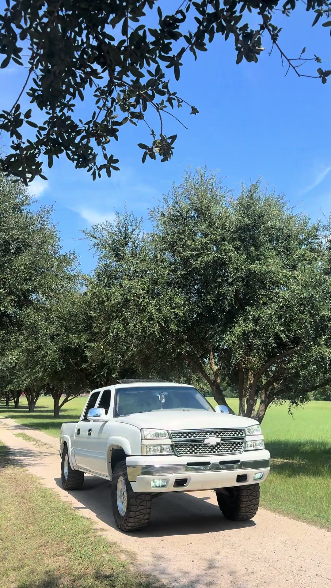 @nbs.tylerv