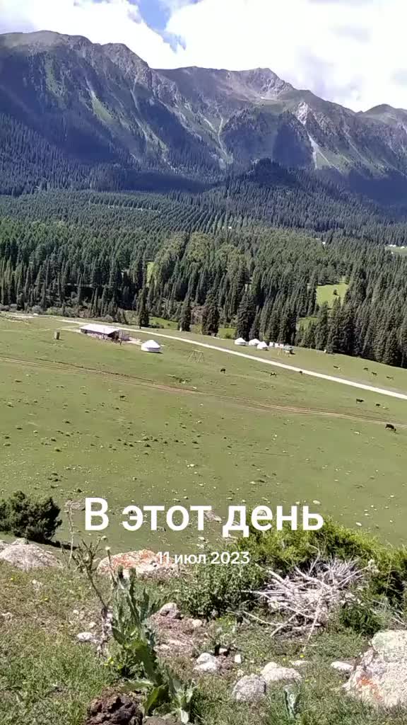 @aidarali_63