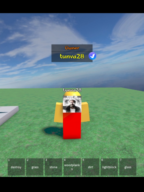 @Voxel Architect