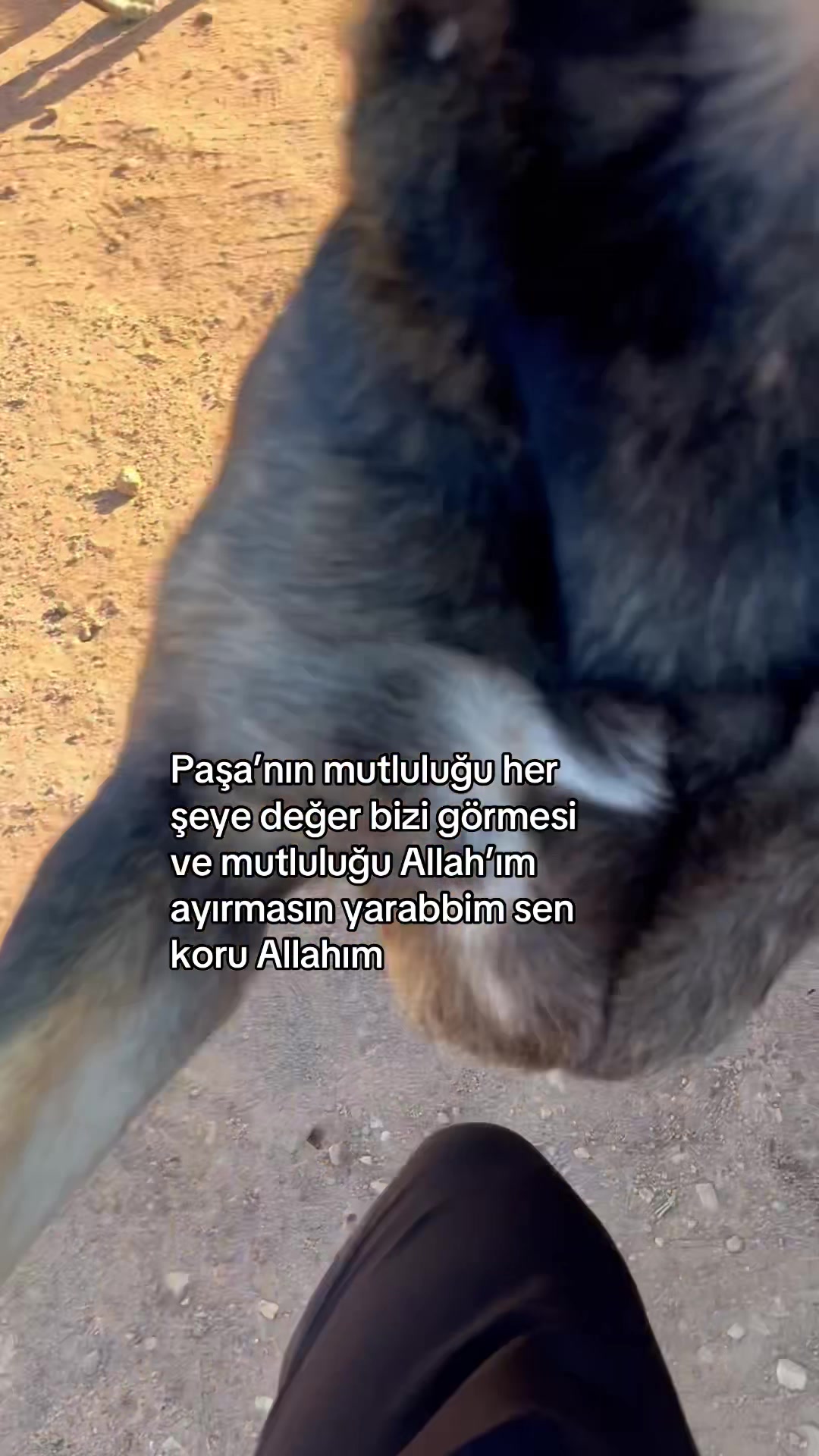 @Gönülünpatileri