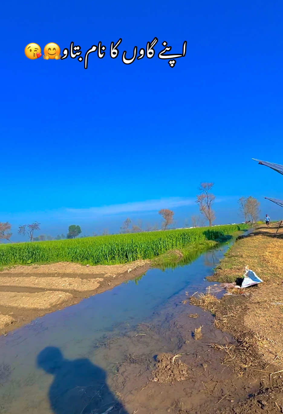 @🌱اویس میئو😎