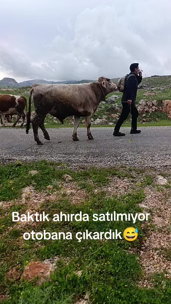 @⚔️ENES &Ccedil;ETİN⚔️