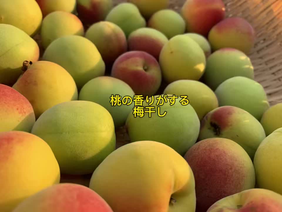 @マルン