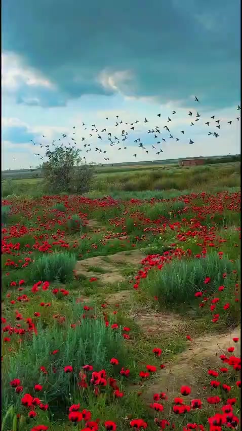 @@Leyla884_