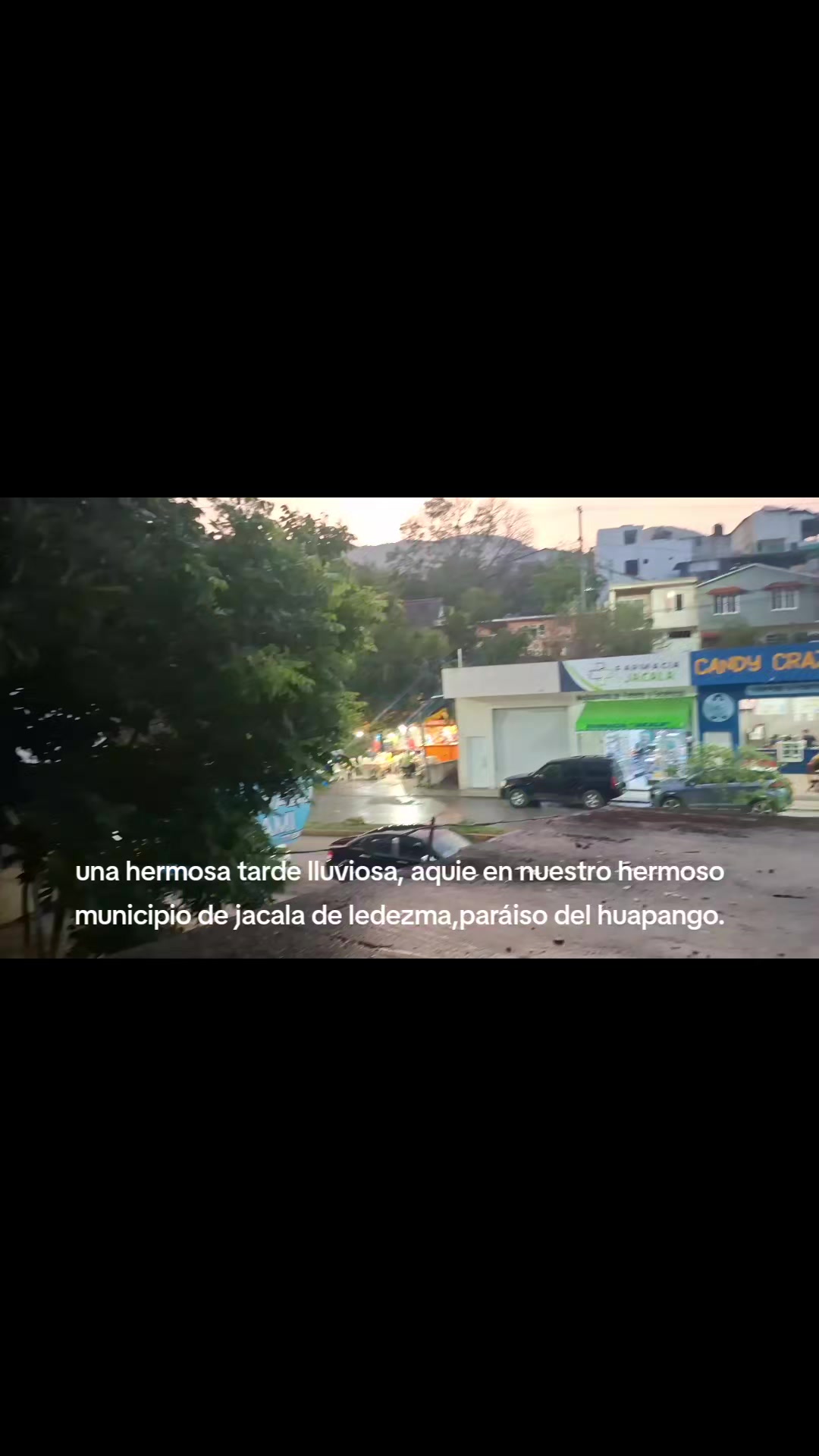 @vanessa Cisneros