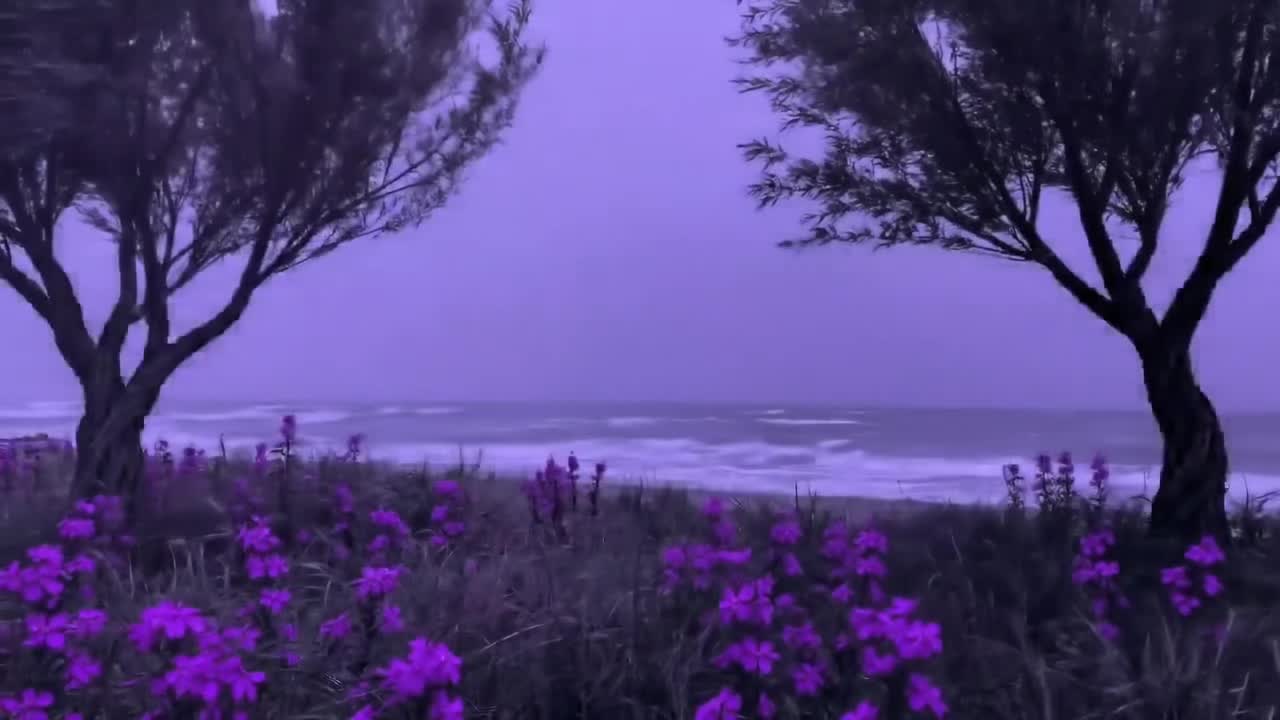 @minimike || pmghxst