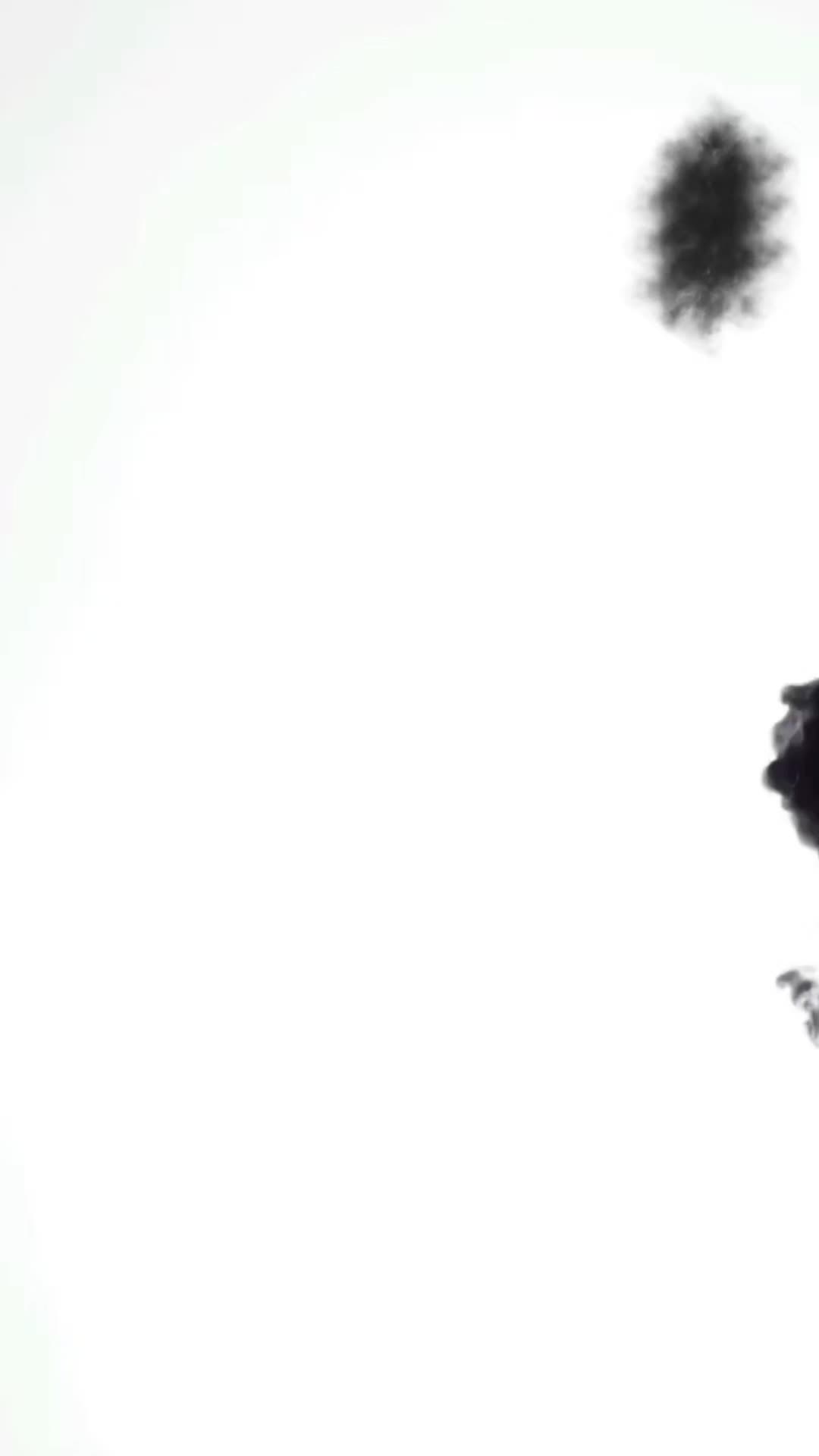 @ℕ𝕚𝕔𝕠𝕝𝕖