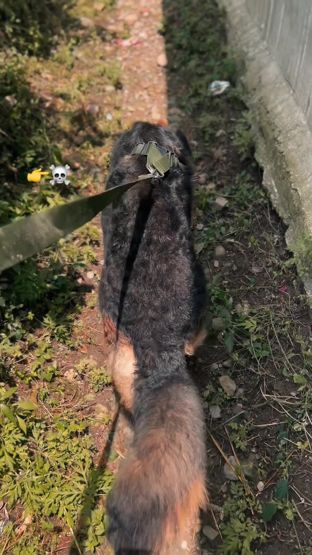 @Ha〽️زÃ 🐺