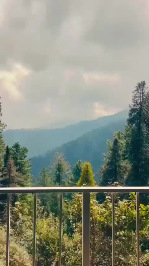 @🪐💫 احسن دلدار علی گجر ⚡🌿