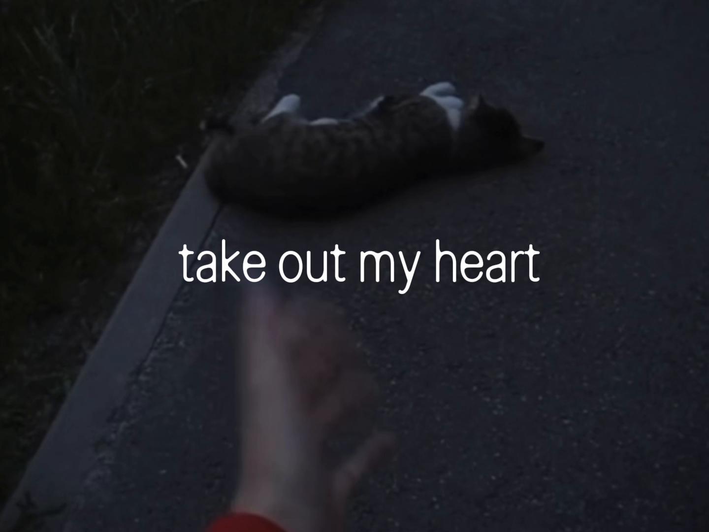 @ze66y