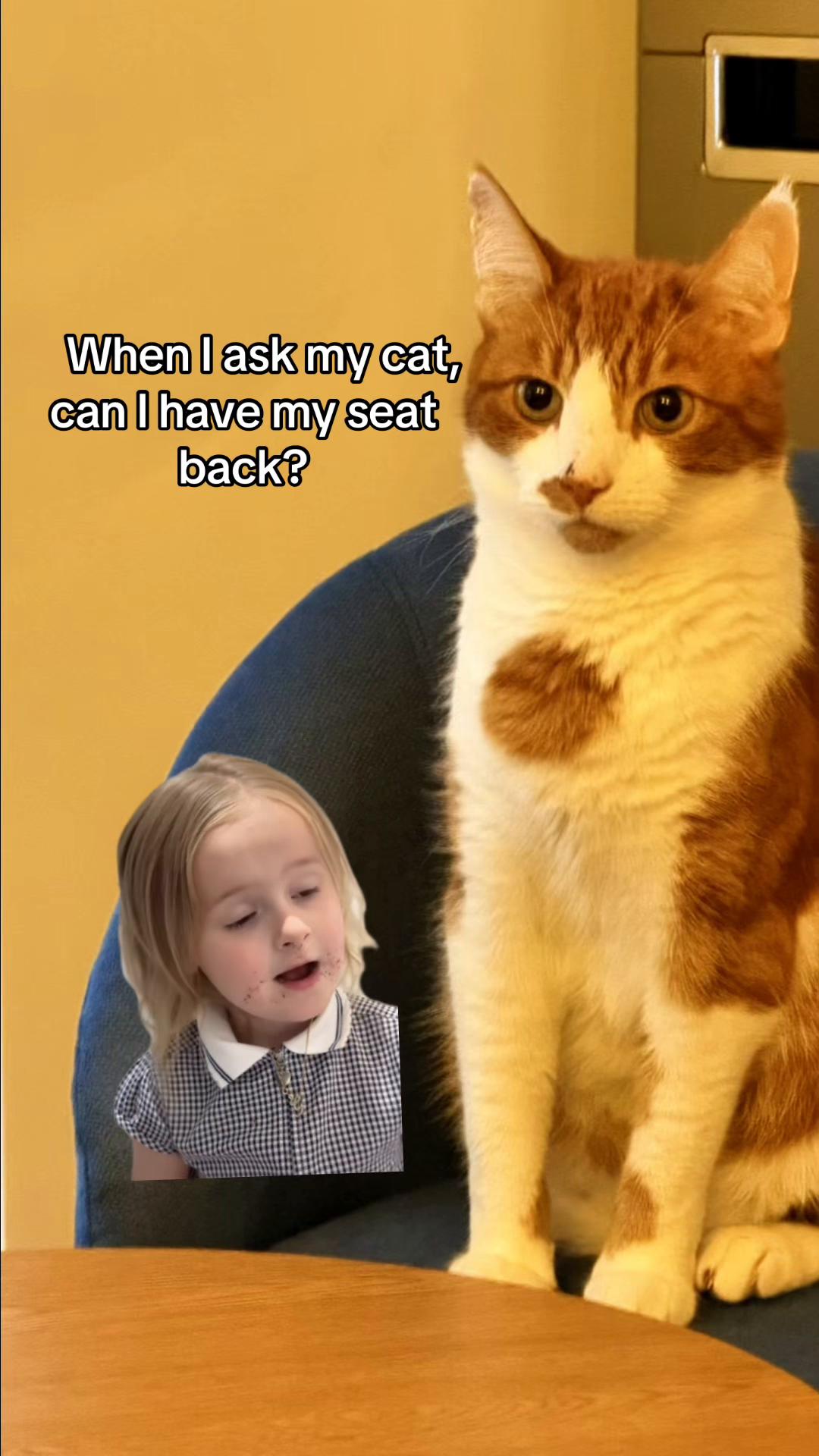 @😺Timothythecat0😺