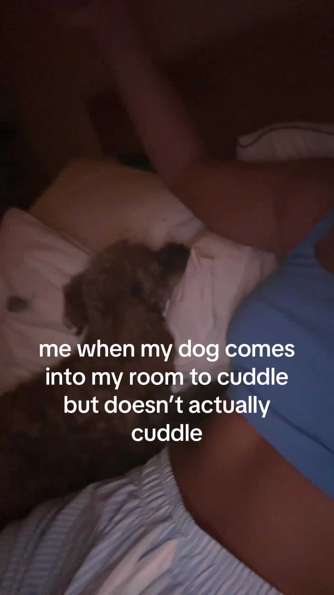 @julia