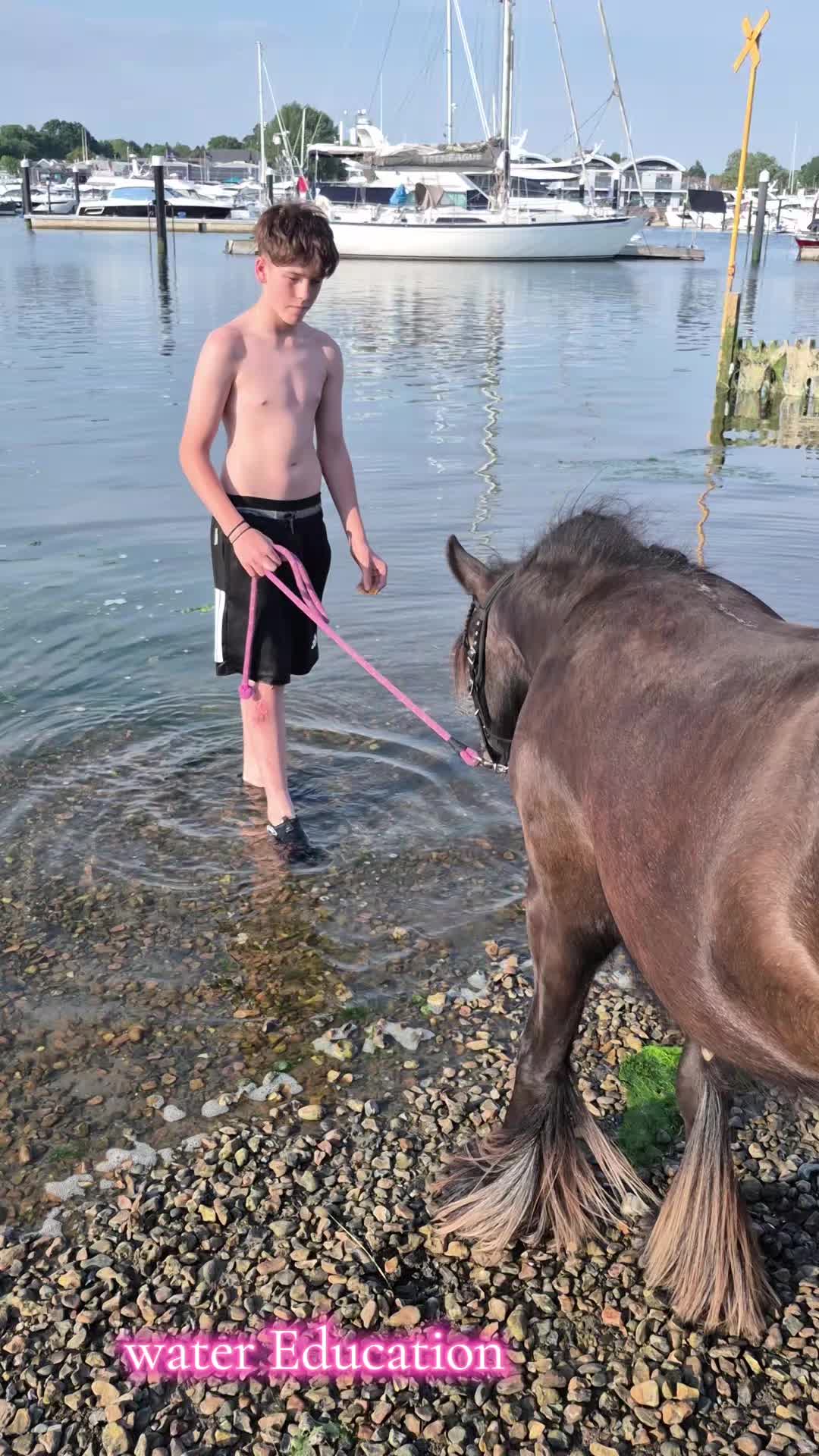 @KcPonyPals