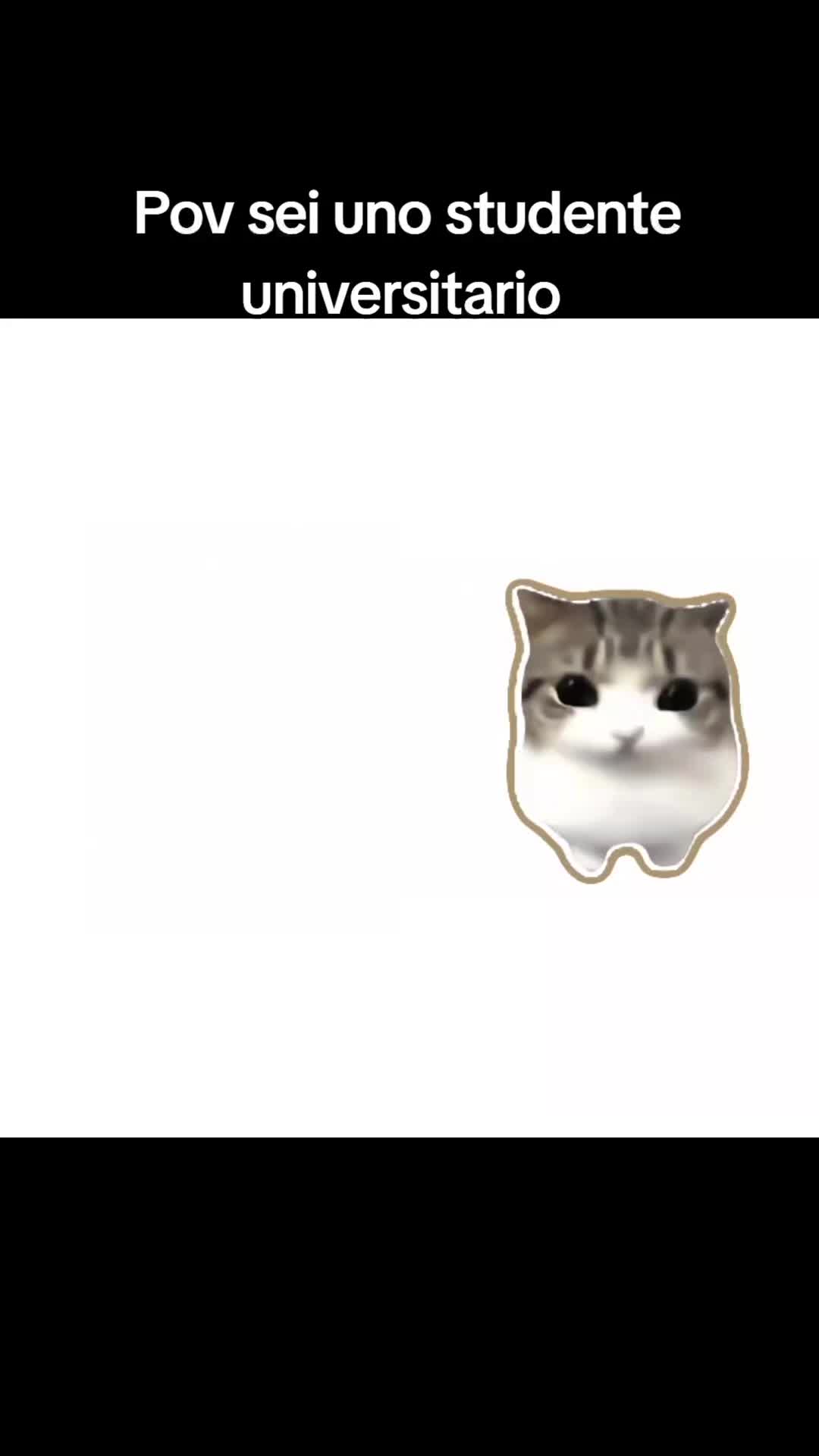 @gb_uni_meme