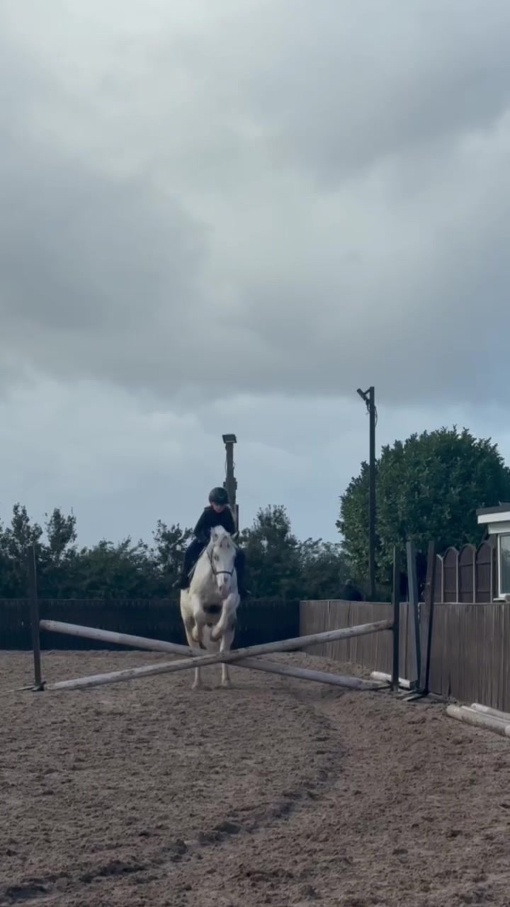 @LottiesHorseAdventures🦄🐴