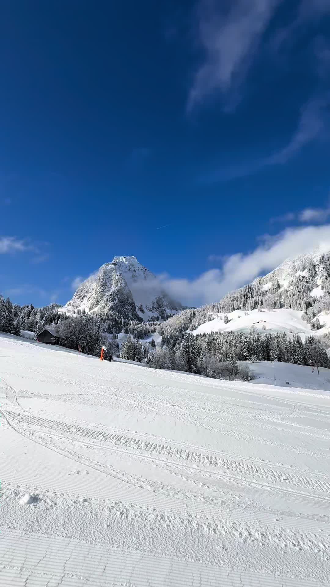 @Brunni-Alpthal