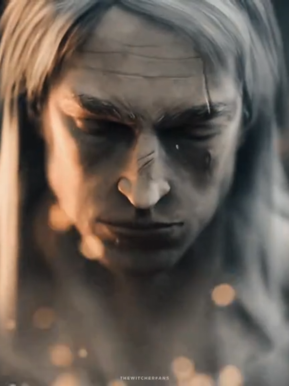 @The Witcher