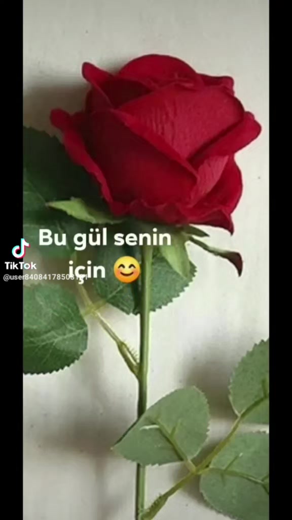 @unal ayhan