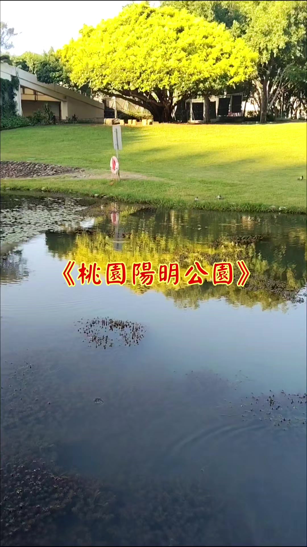 @雞不叫也天亮