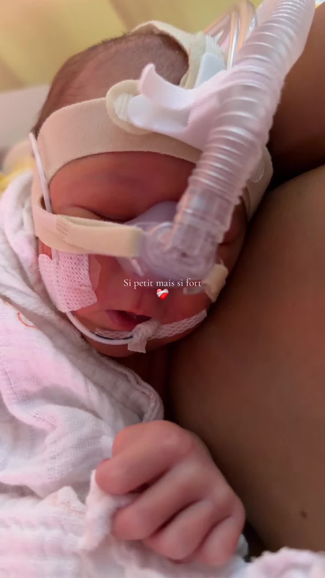 @Daniellapintto