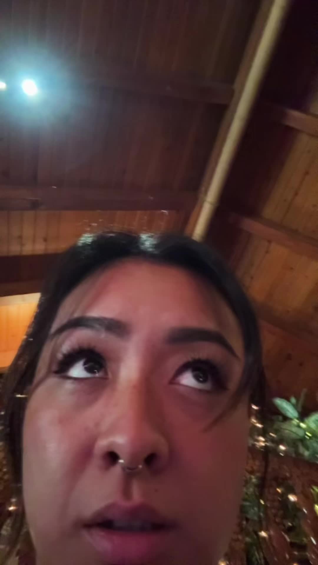 @sachistabs