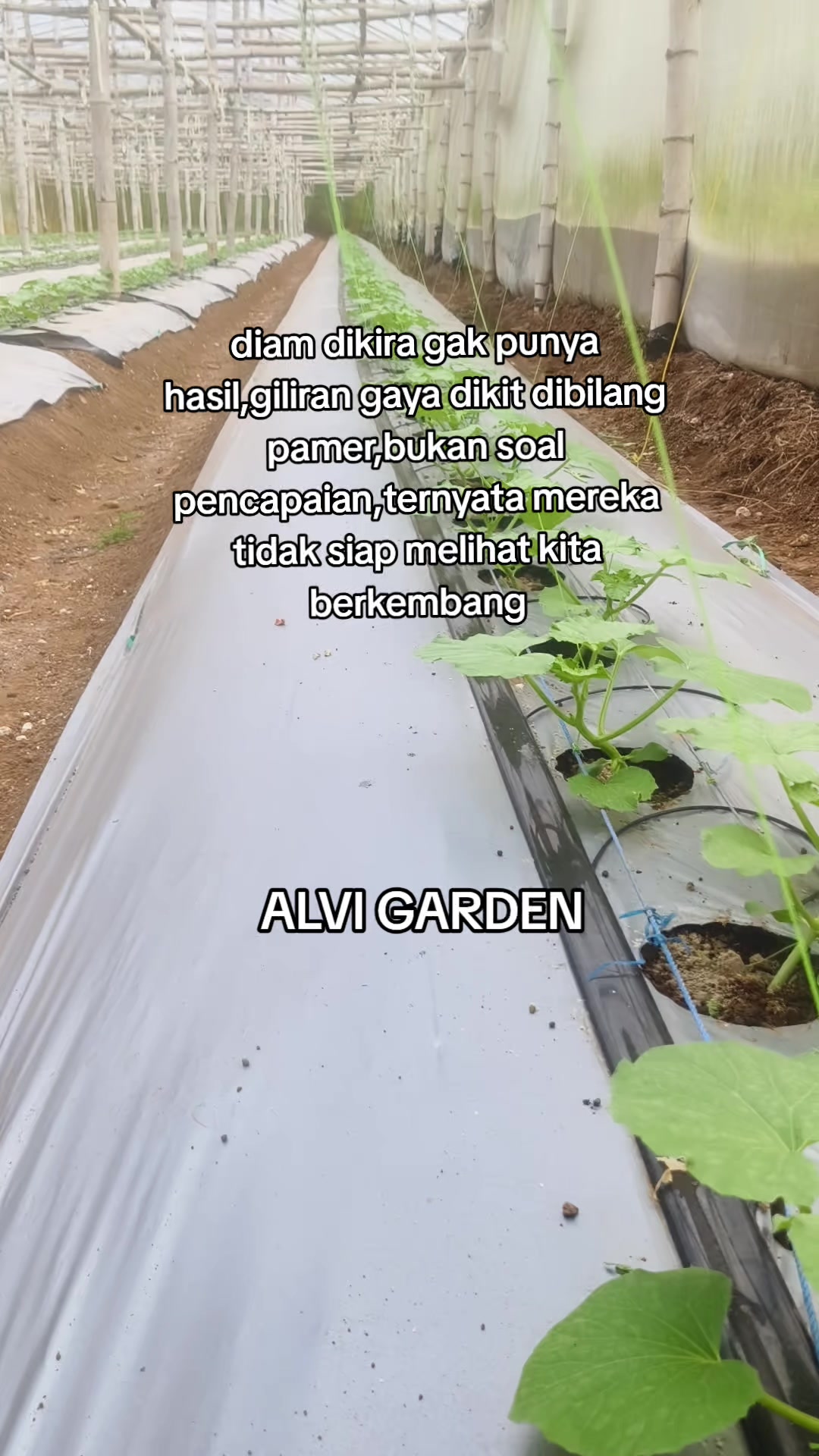 @Alvi Garden