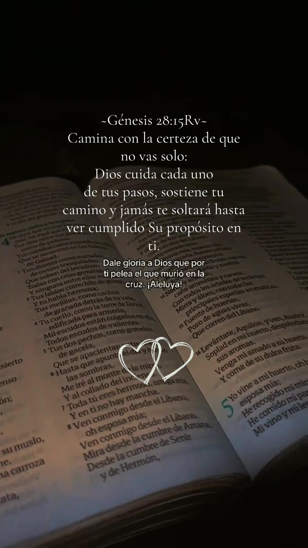 @davidespinoza.7