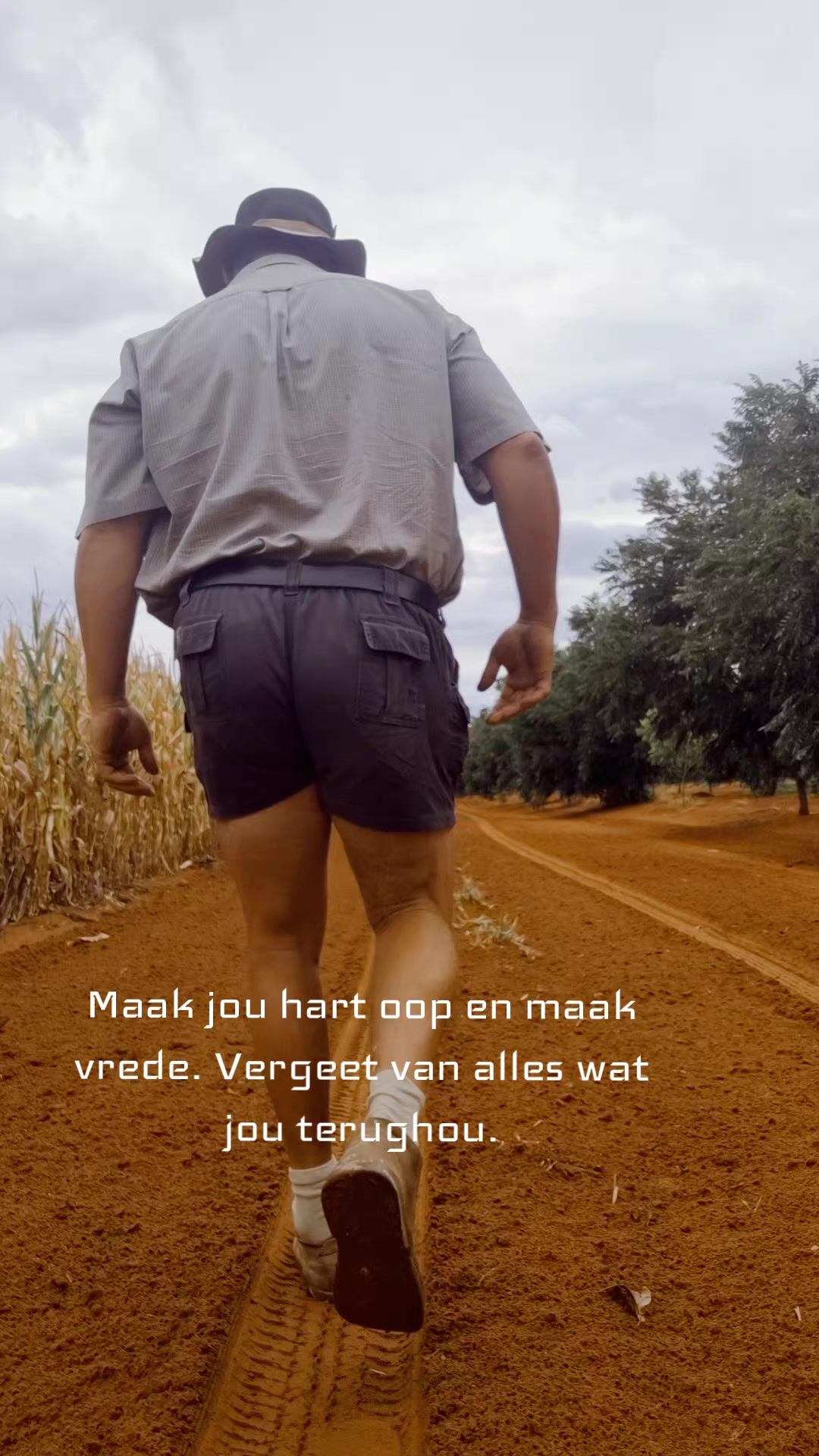 @Bees Strydom