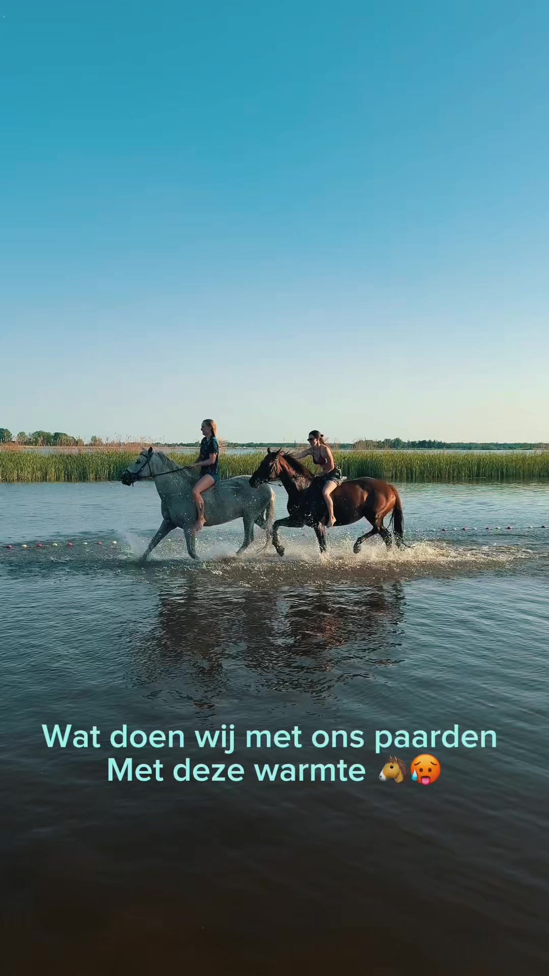 @Pietrik 🌱