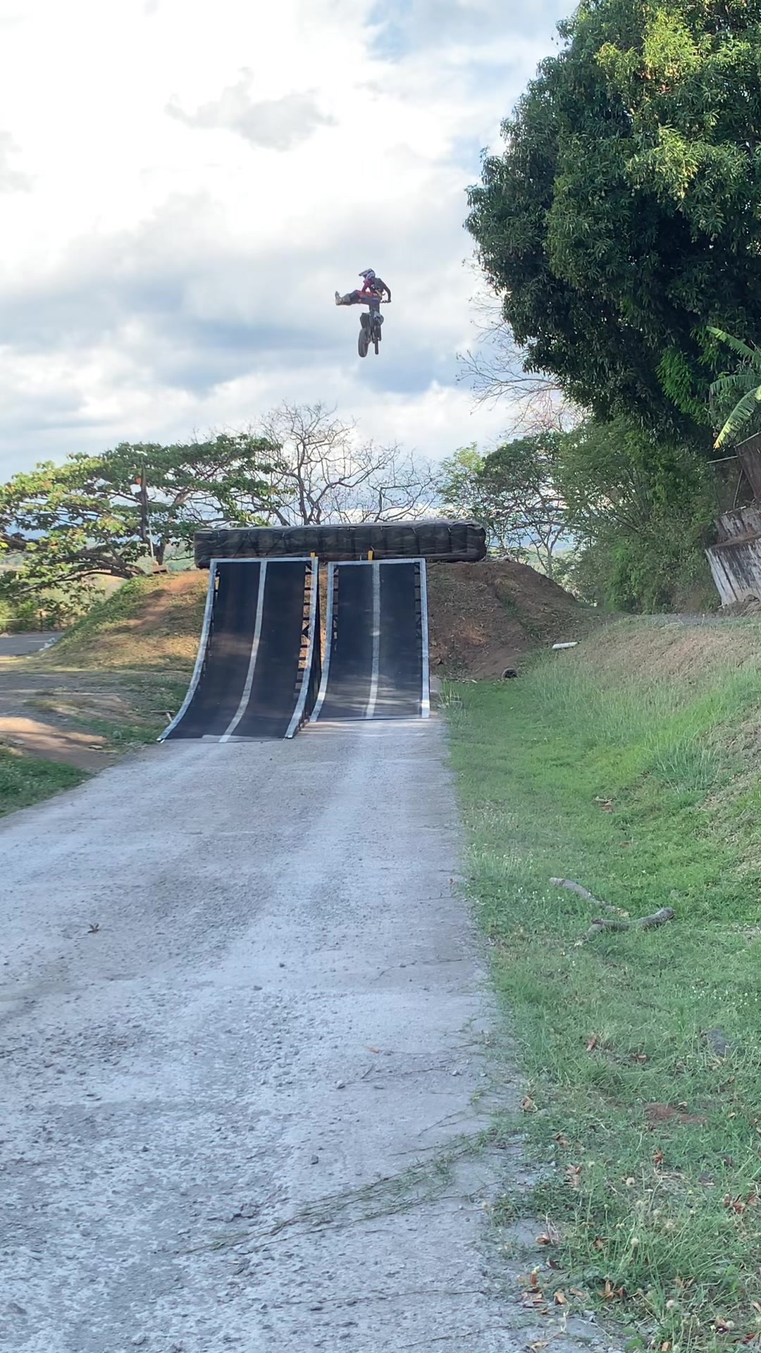 @gatofmx