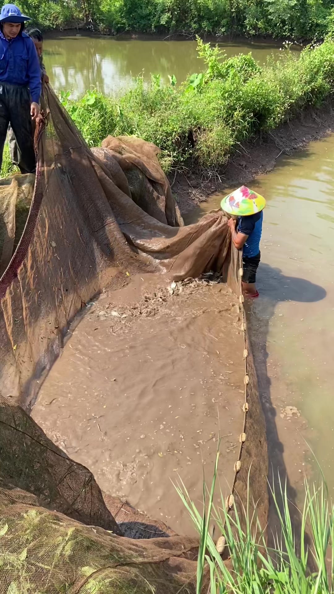 @Trại C&aacute; Giống Quang L&acirc;m