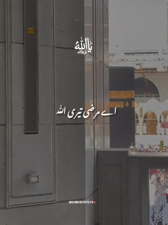 @راجه لقمان 🦅