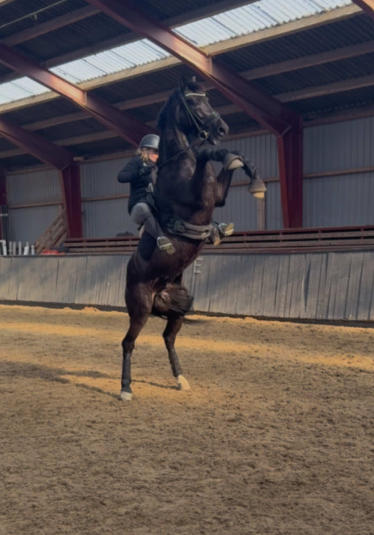 @Eline Lode