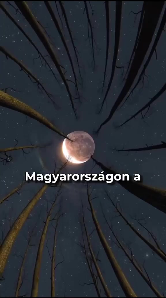 @Csern&aacute;k Mester