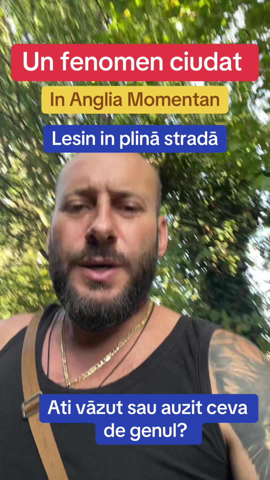 @Mos Craciun