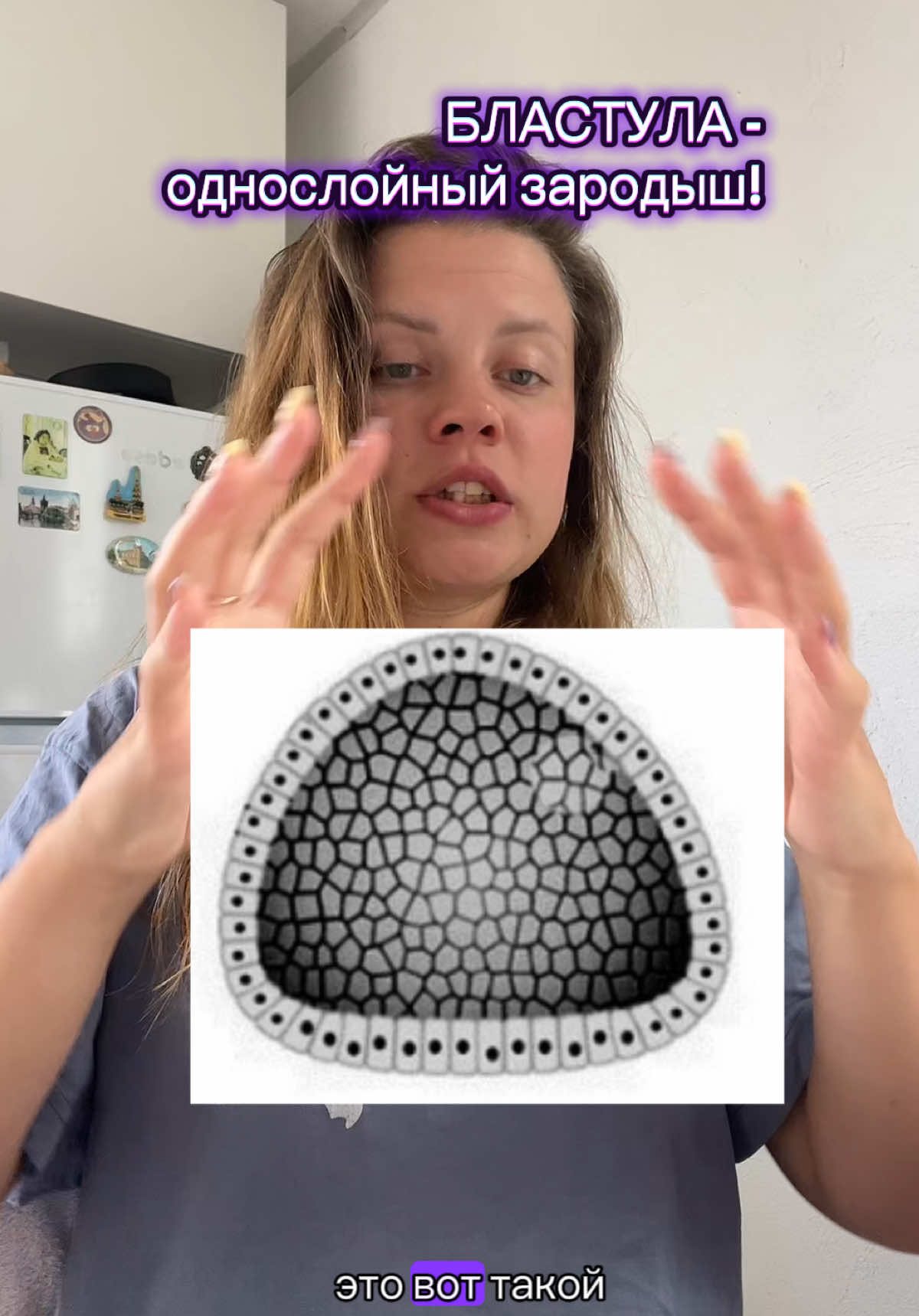 @Лизоцитоз