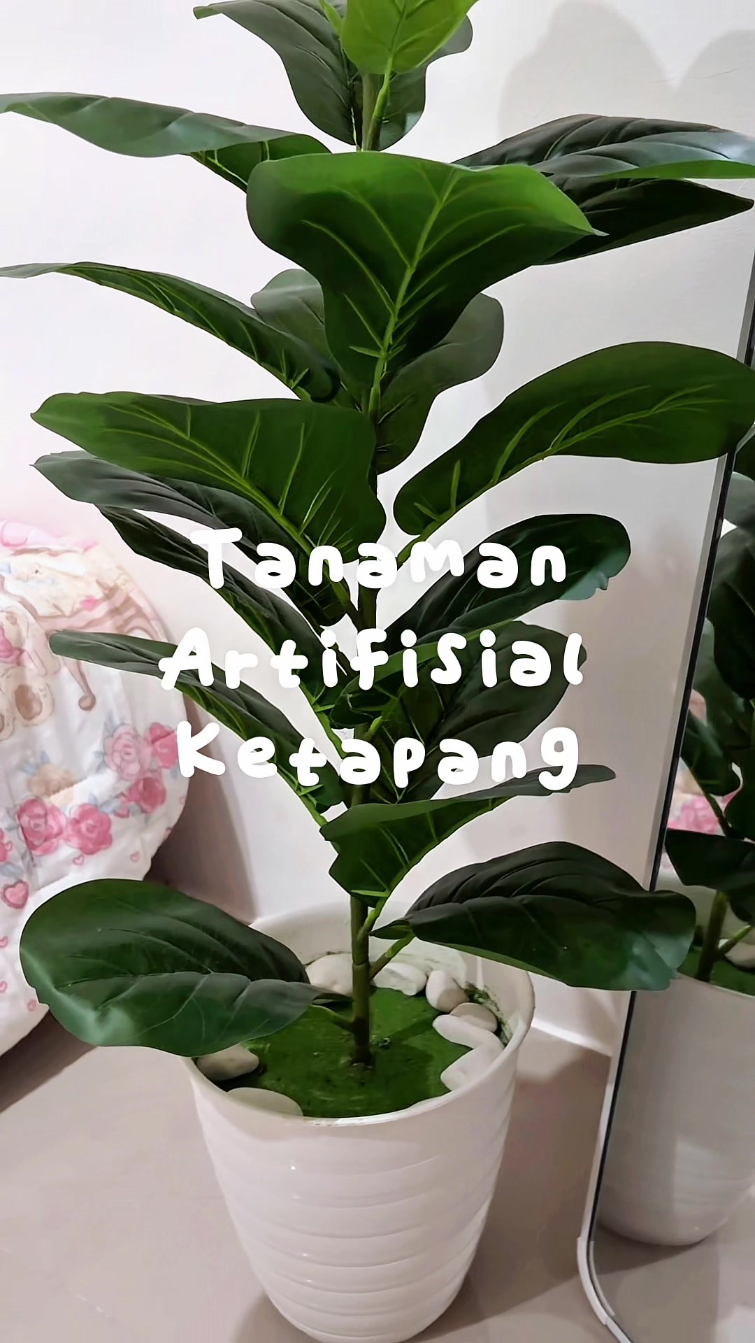@almey.room𝜗ৎ