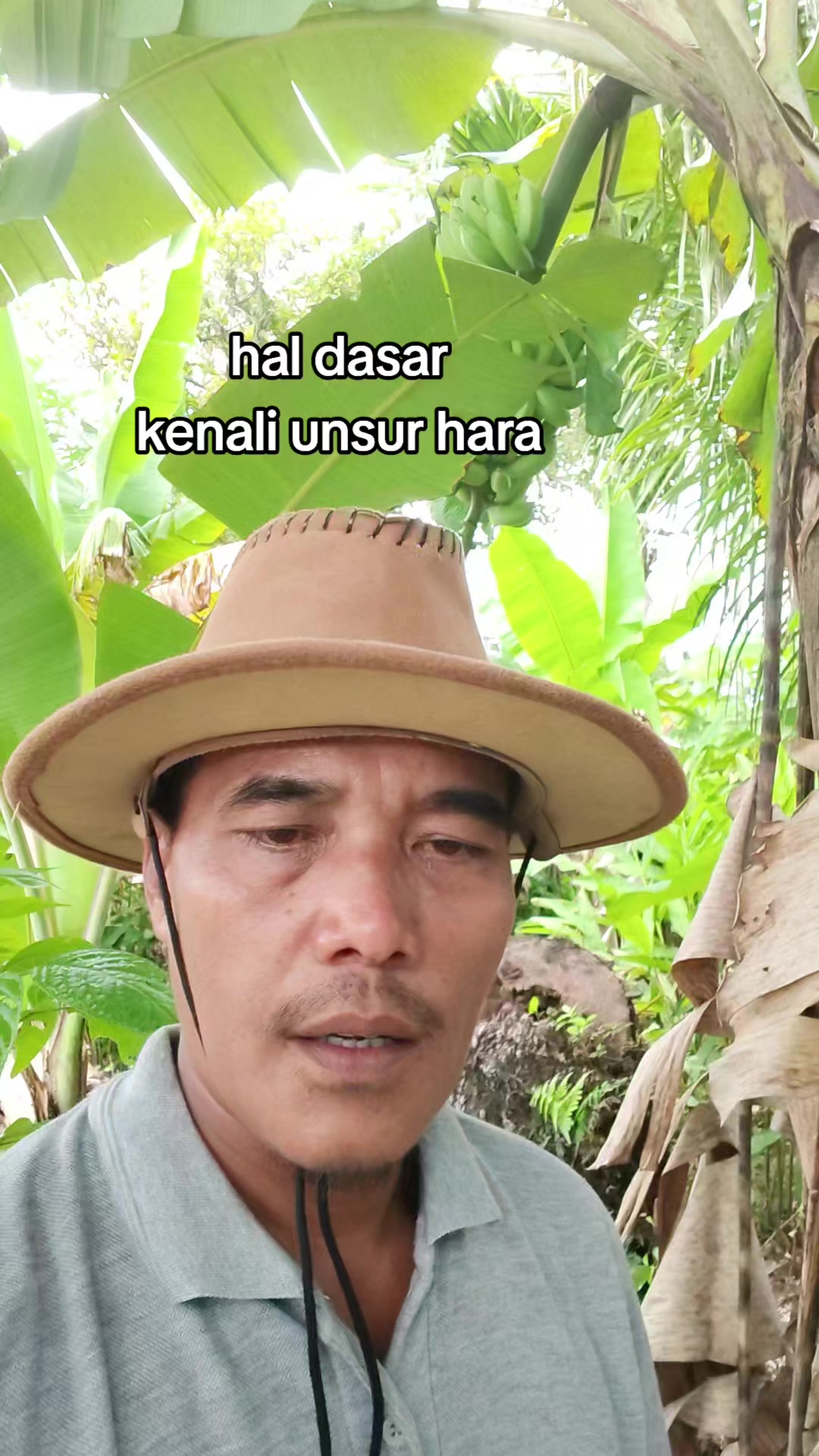 @petani kecil ujung tapsel