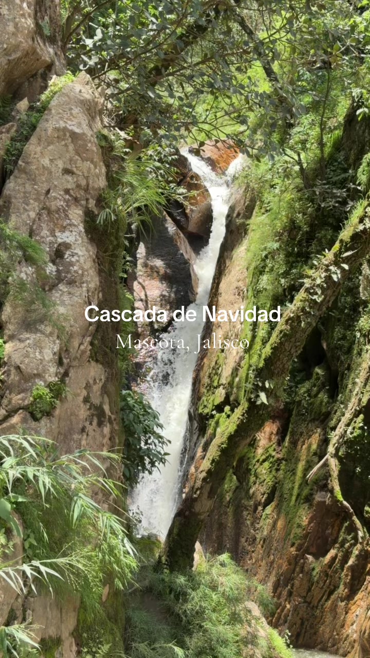 @Mascota Pueblo M&aacute;gico