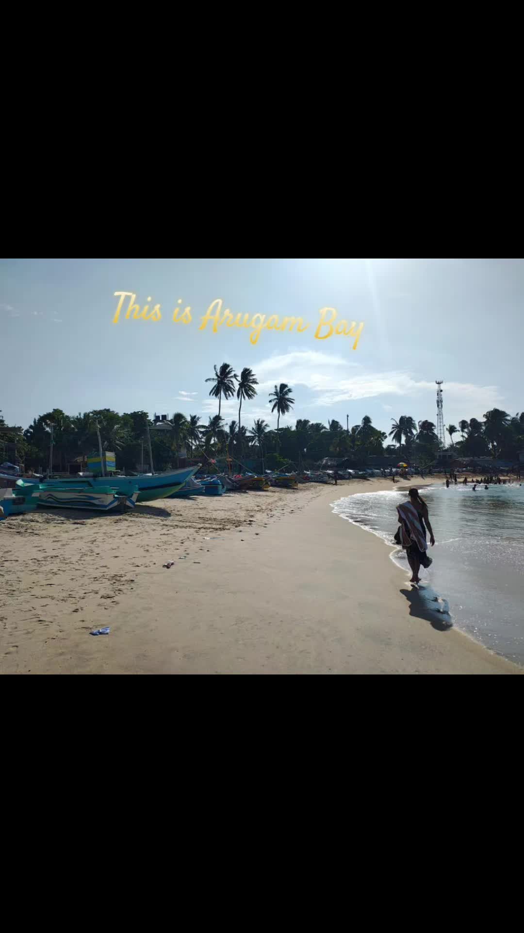 @The Travel Log