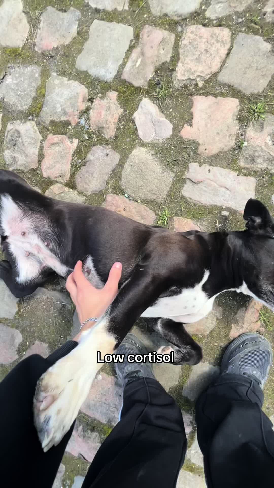 @AD