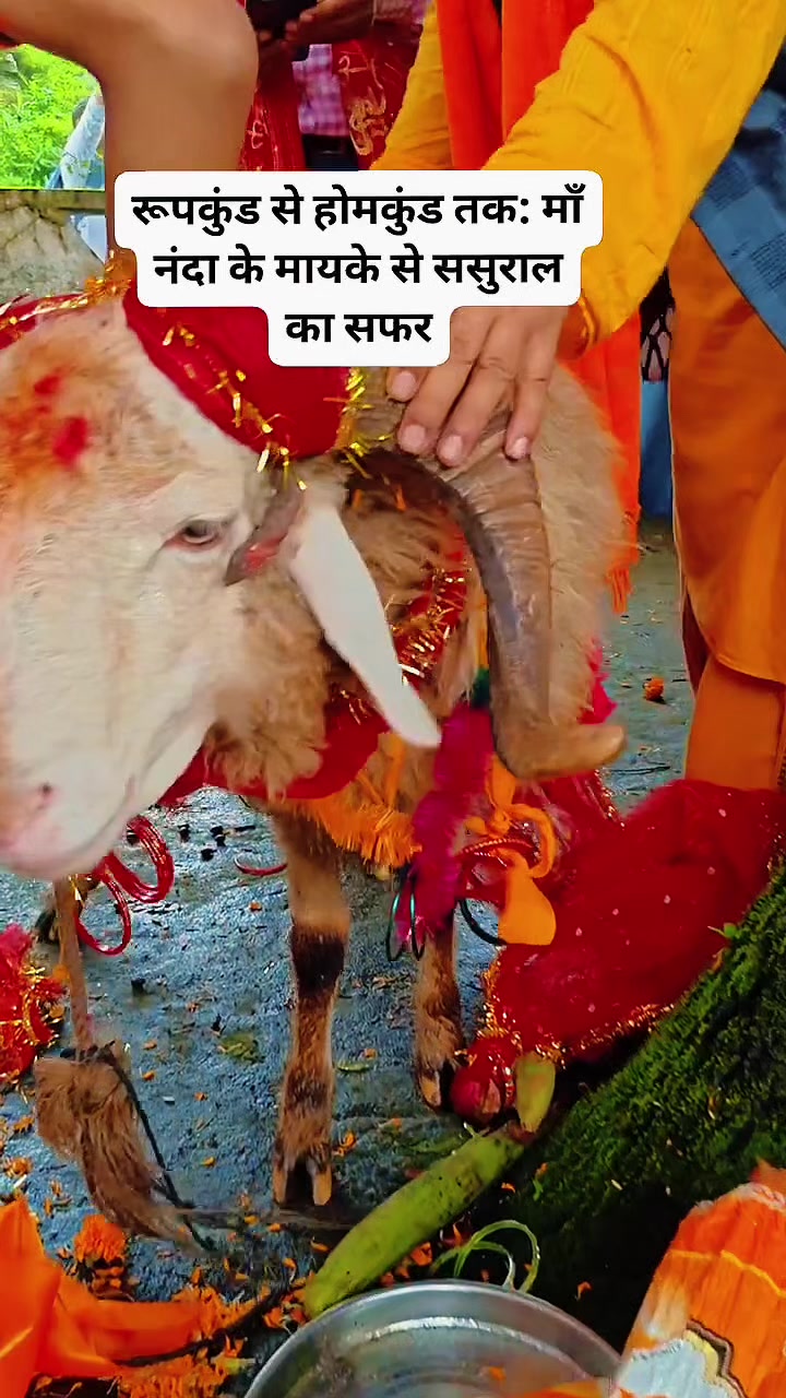 @Dinesh+uk+pahadi