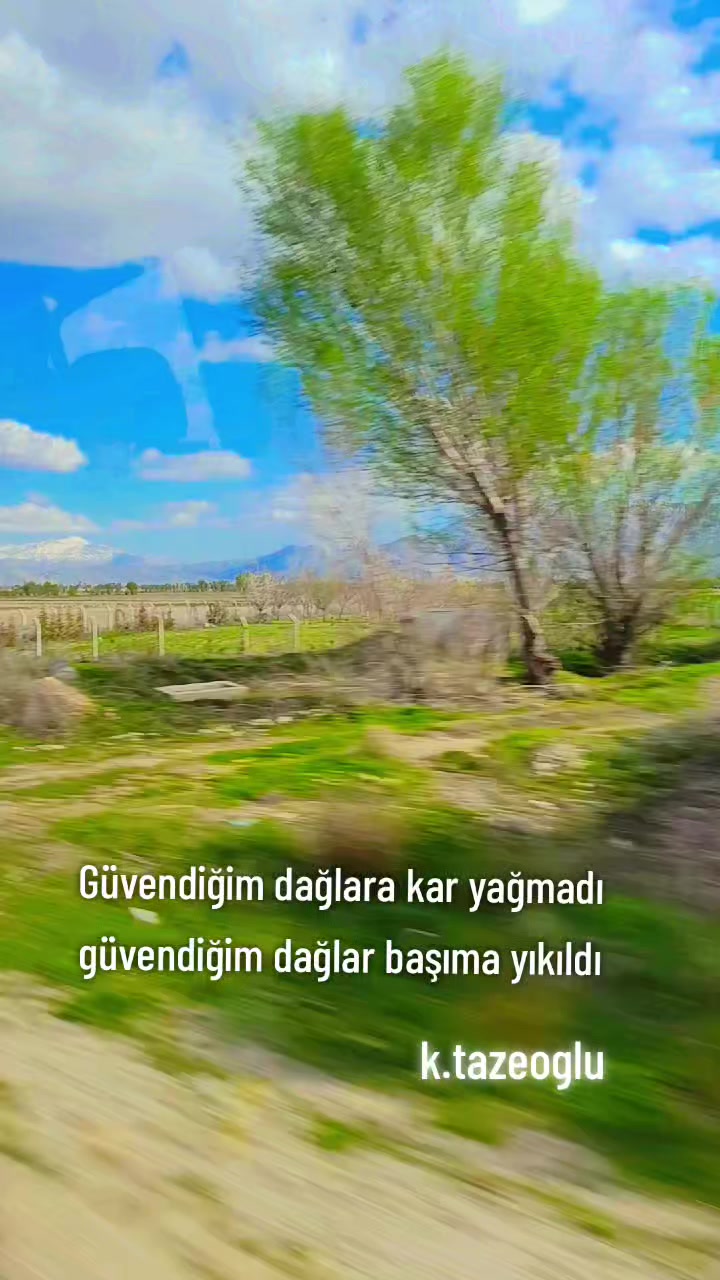 @Berat46