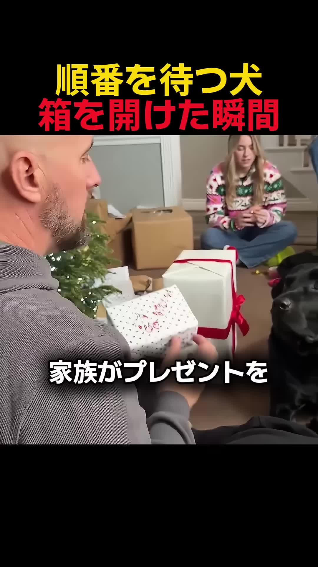 @user53752913162628