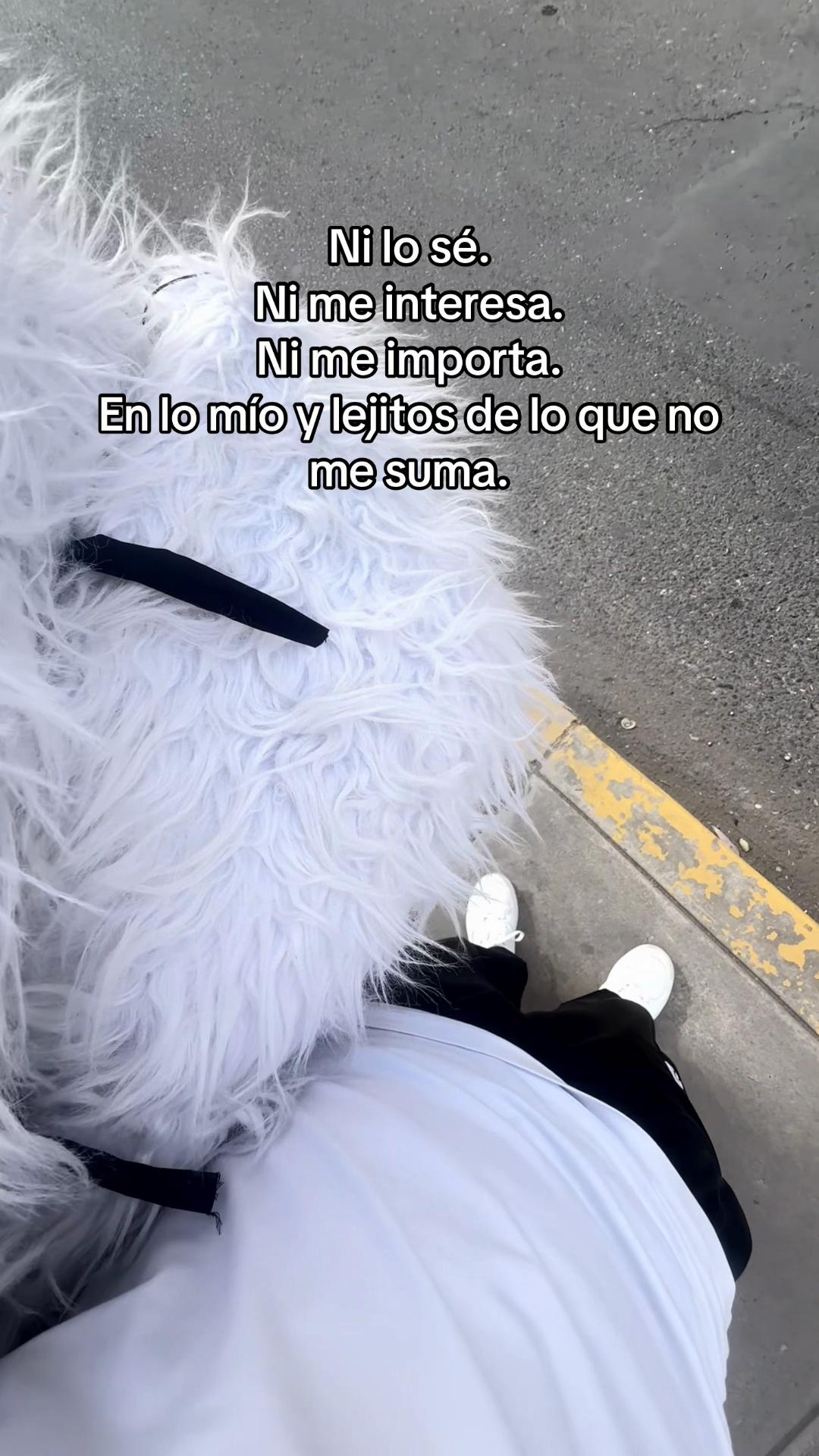 @dani_david