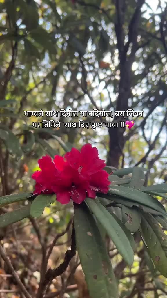 @@Rajanrai