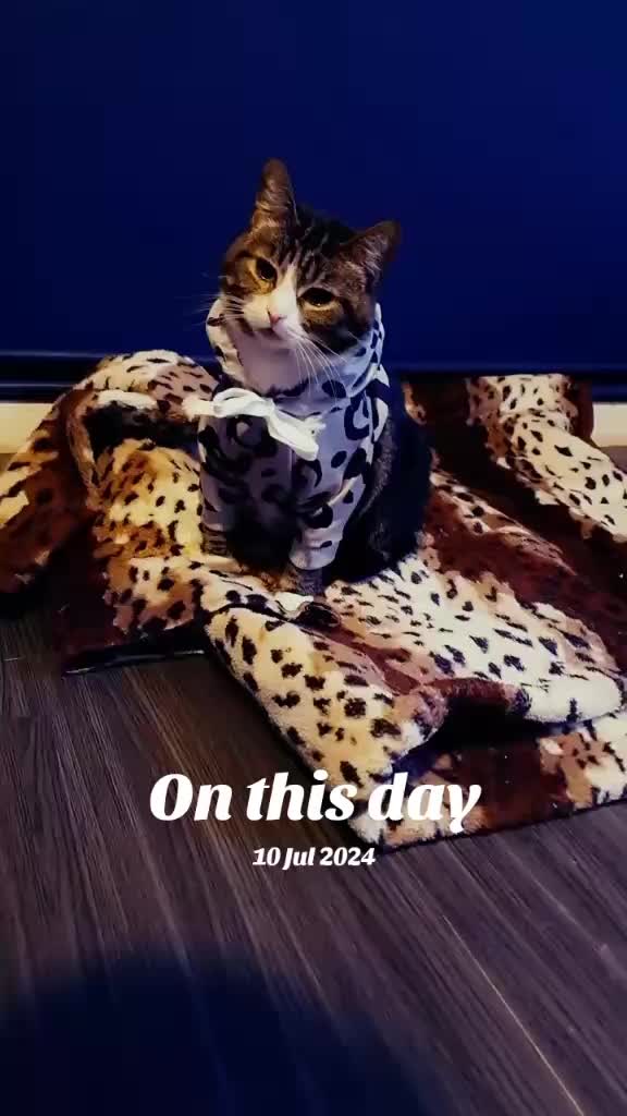 @๐ฆ April'Monique ๐ฆ
