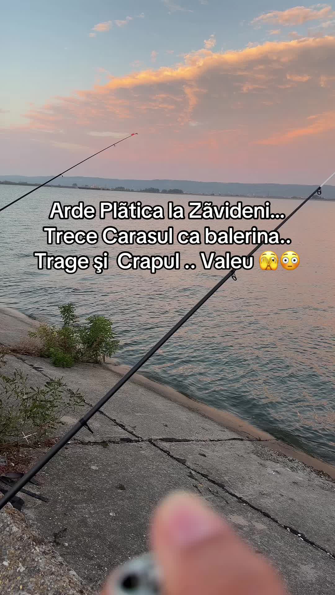@Bia Popescu Stanciu